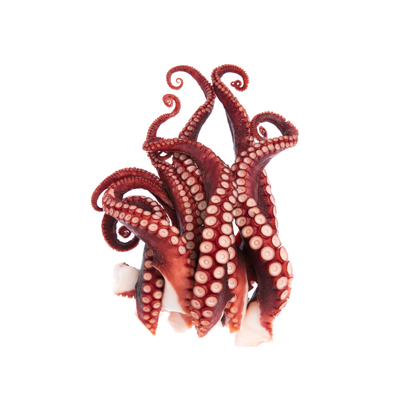 Cooked Octopus Tentacles Kg
