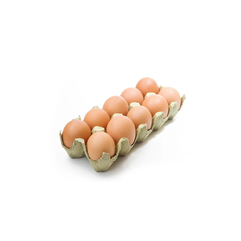Bio Organic Eggs 10Pcs