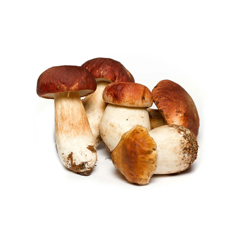 Porcini Mushrooms Whole Frozen 10 x 1Kg